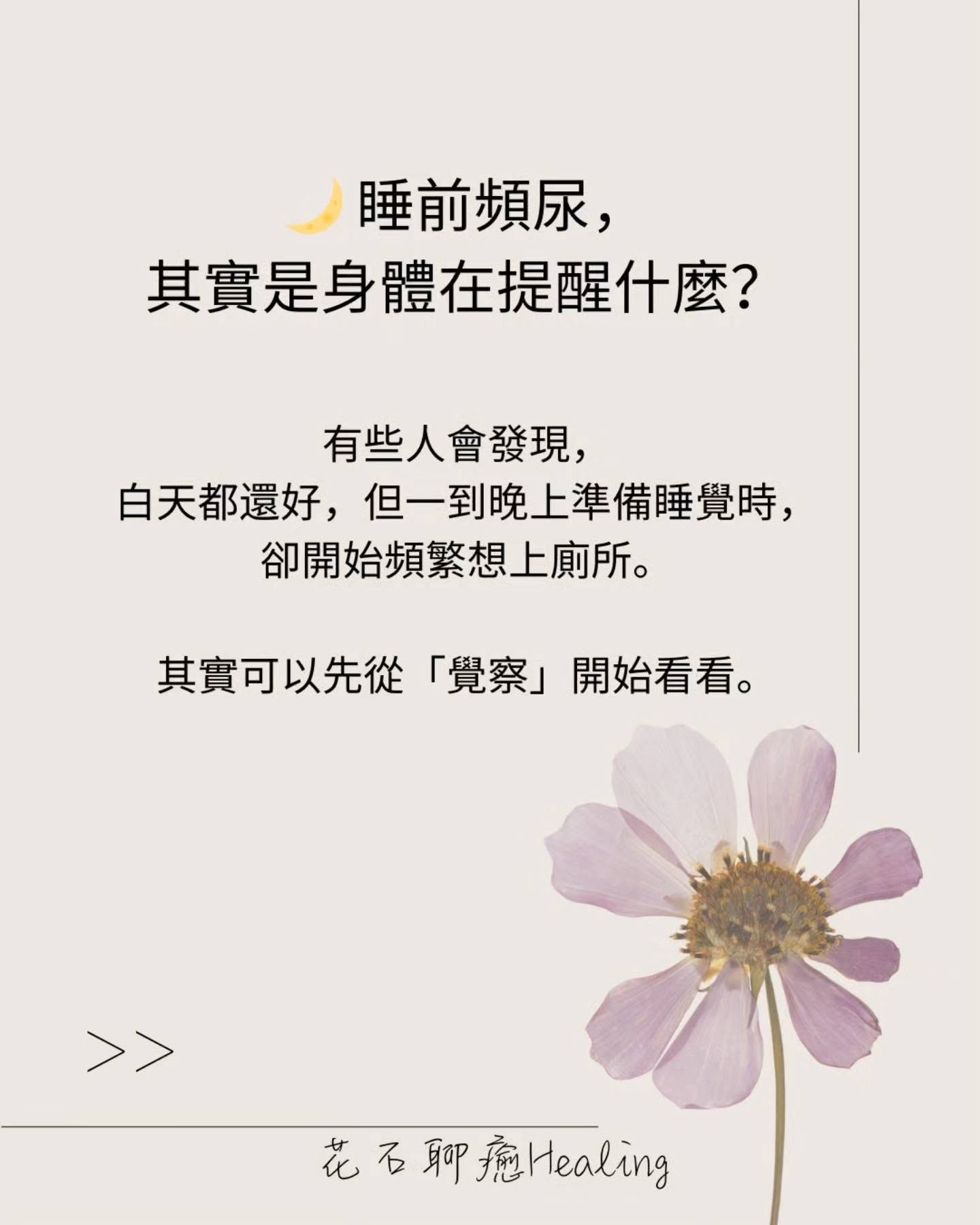 睡前頻尿，其實是身體在提醒什麼？｜花石聊癒