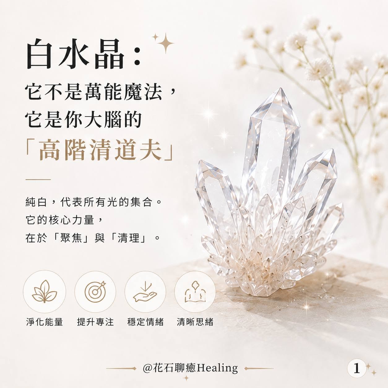 白水晶：你大腦的「高階清道夫」｜花石聊癒